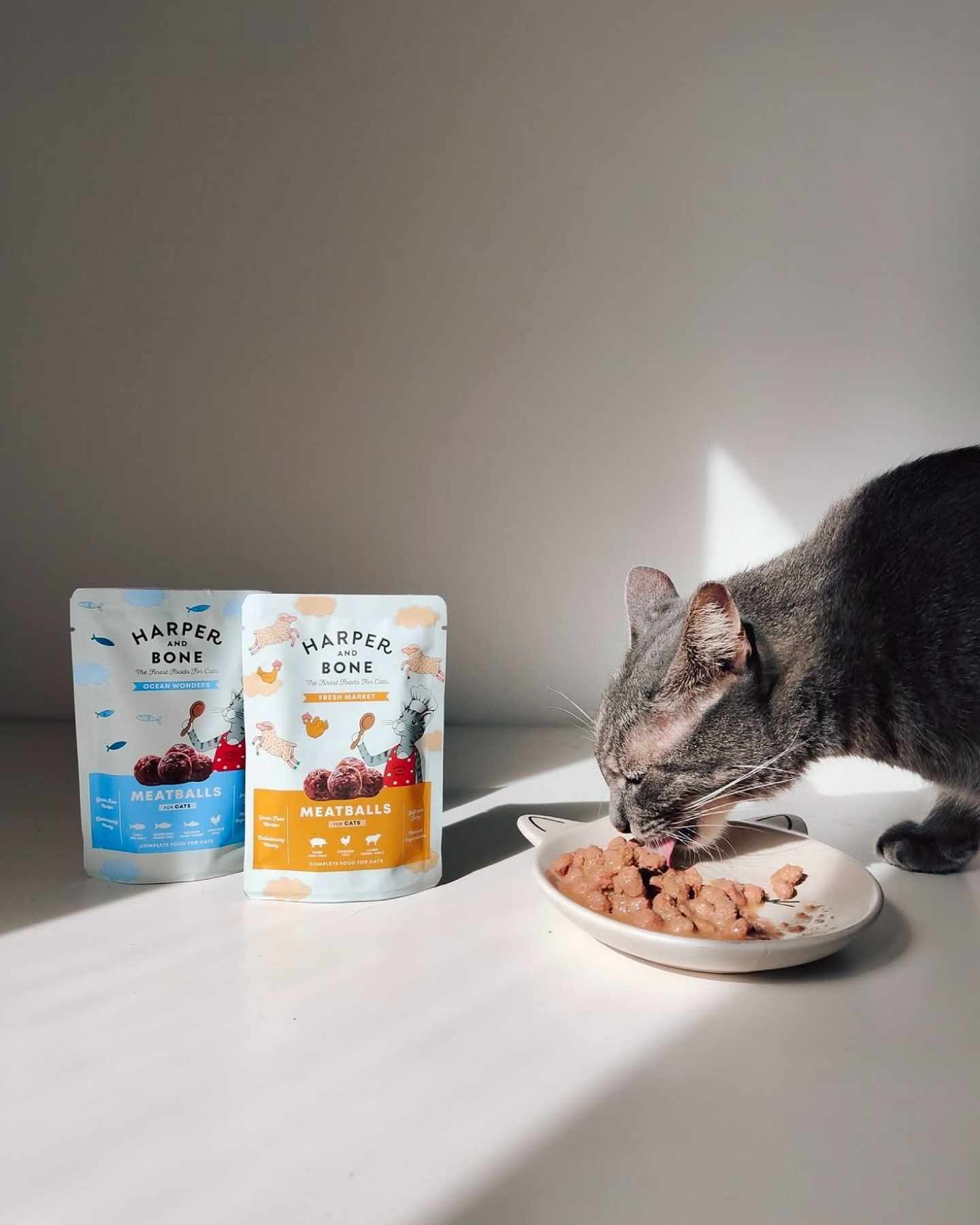 Harper and Bone Facebook ad: ¿tu gato conoce nuestras deliciosas recetas?
