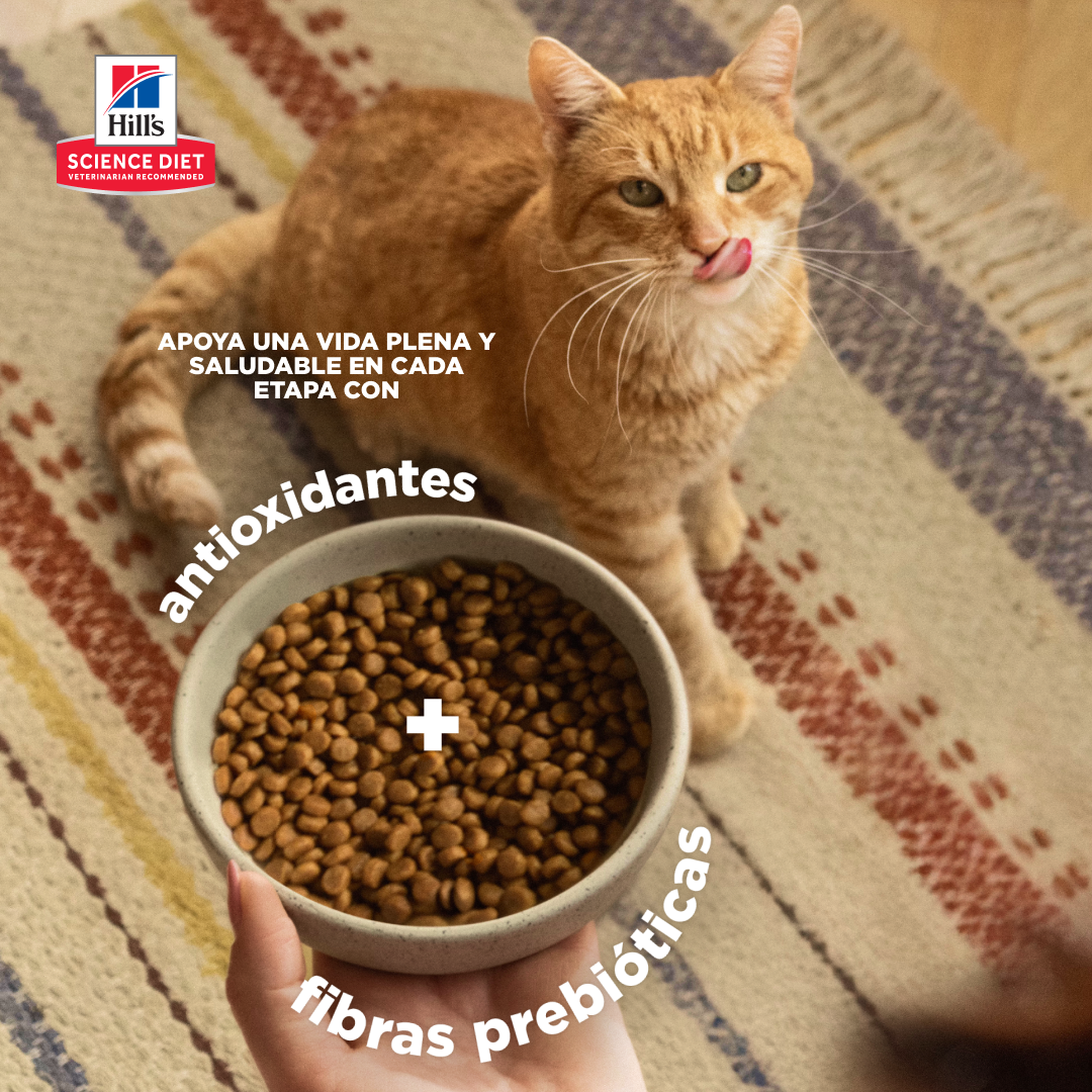 Hill's Pet Perú Facebook ad