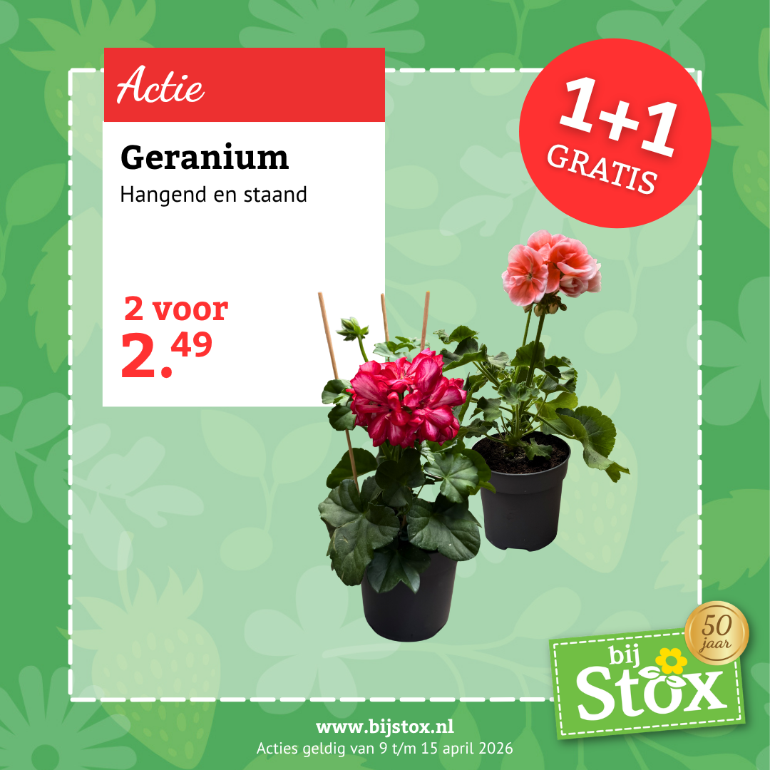 Tuincentrum BijStox Facebook ad