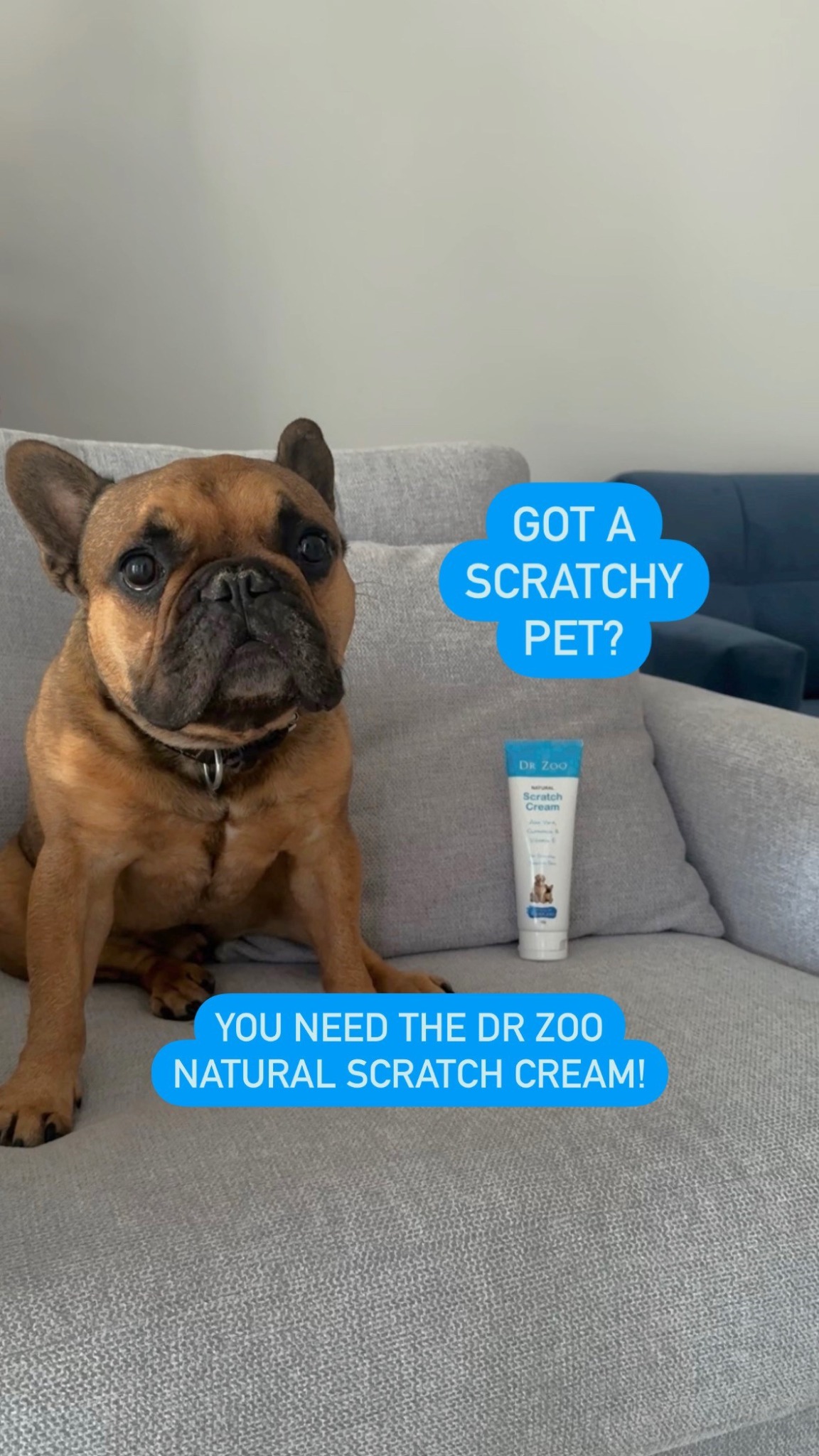 Dr Zoo Facebook ad