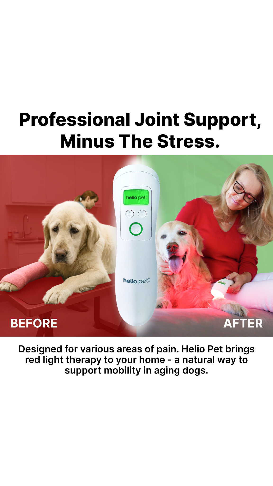 Animal Science Today Facebook ad