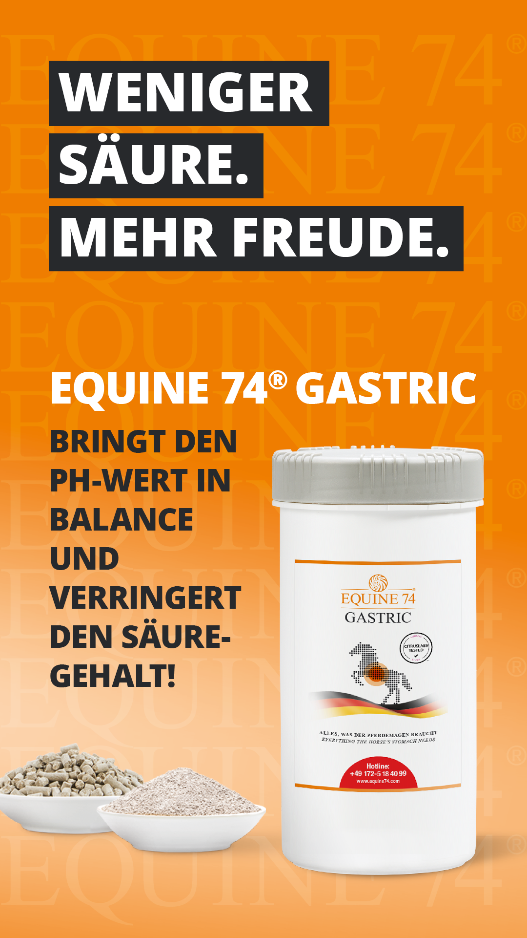 Equine74 Facebook ad from Feb 6, 2026