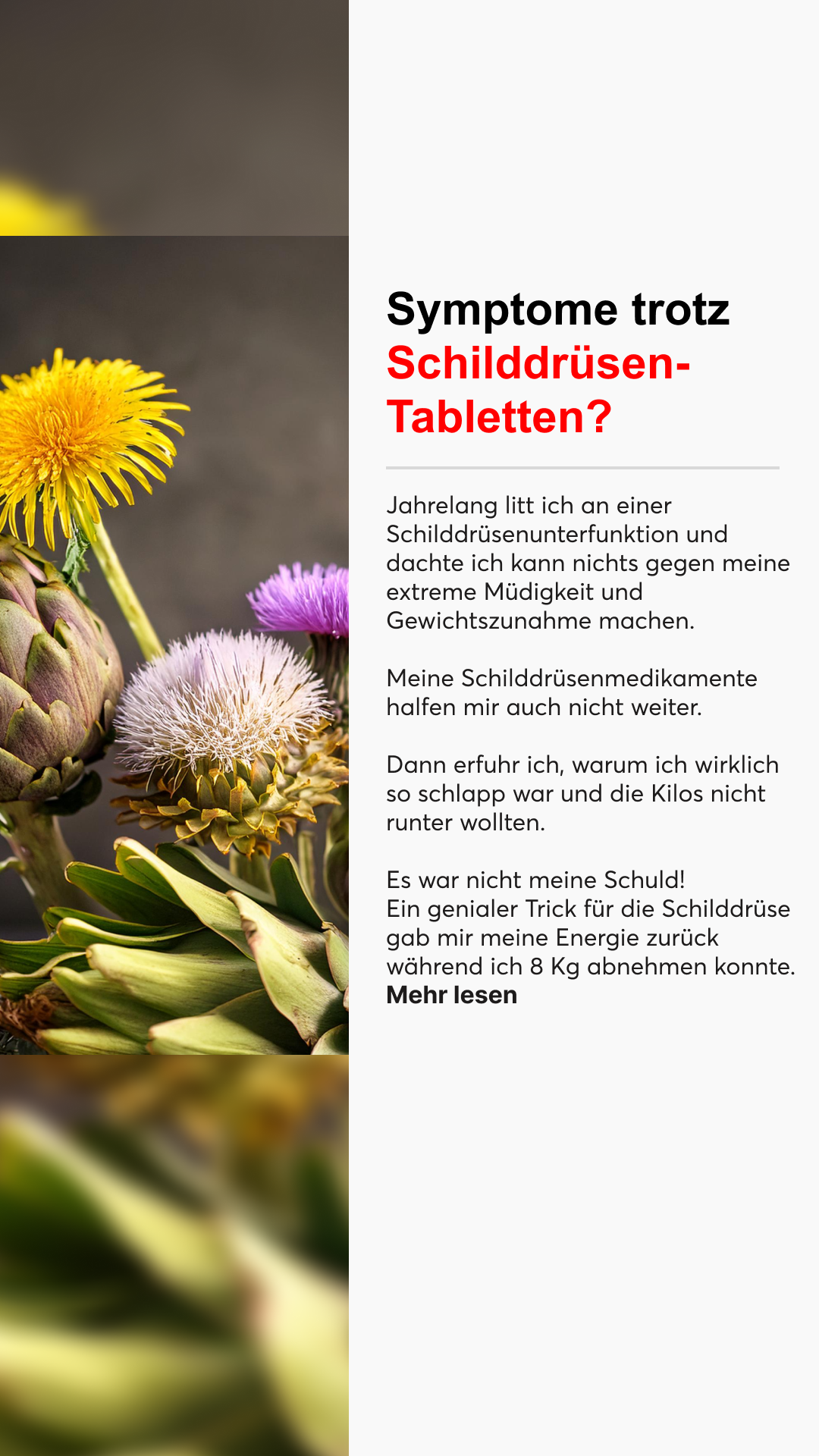 Mission Schilddrüse Facebook ad