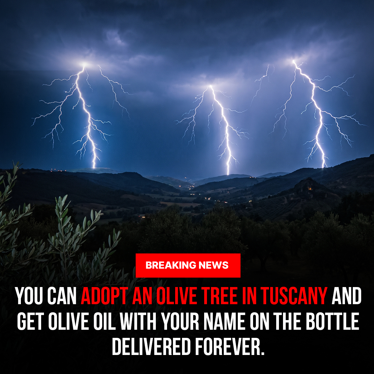La Dolce Post Facebook ad: Adopt a Tree. Taste La Dolce Vita.