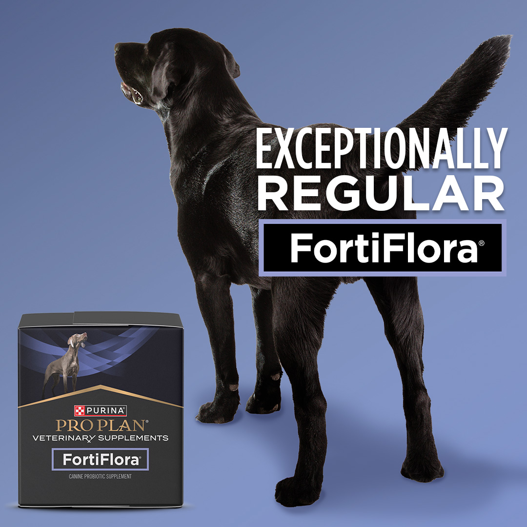 Purina Pro Plan Vet Facebook ad