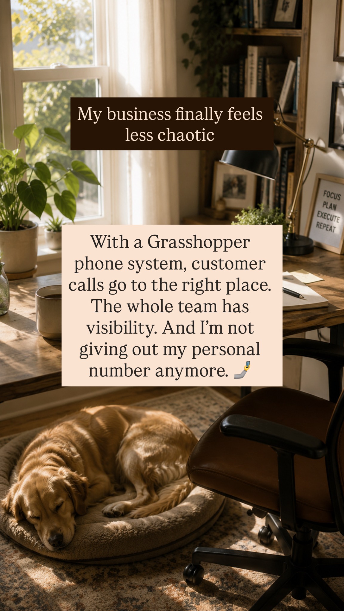 Grasshopper Facebook ad
