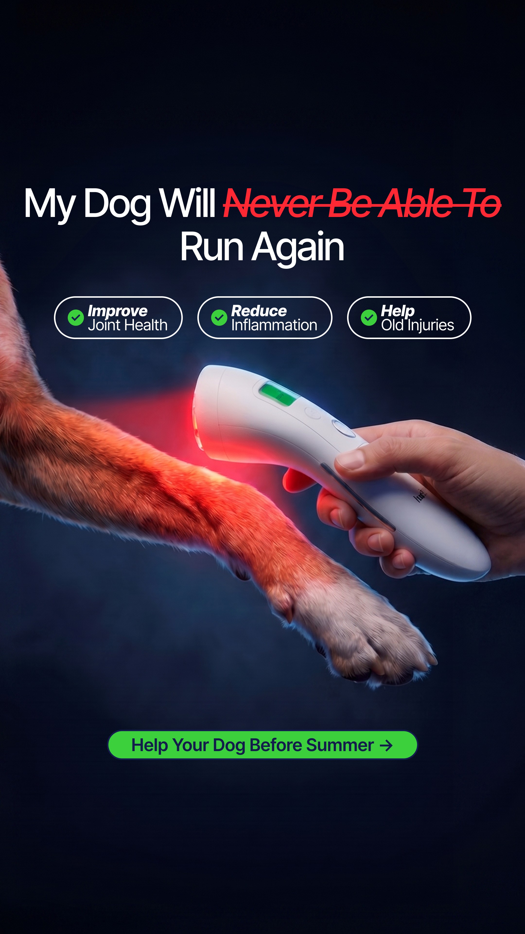 Helio Pet Facebook ad