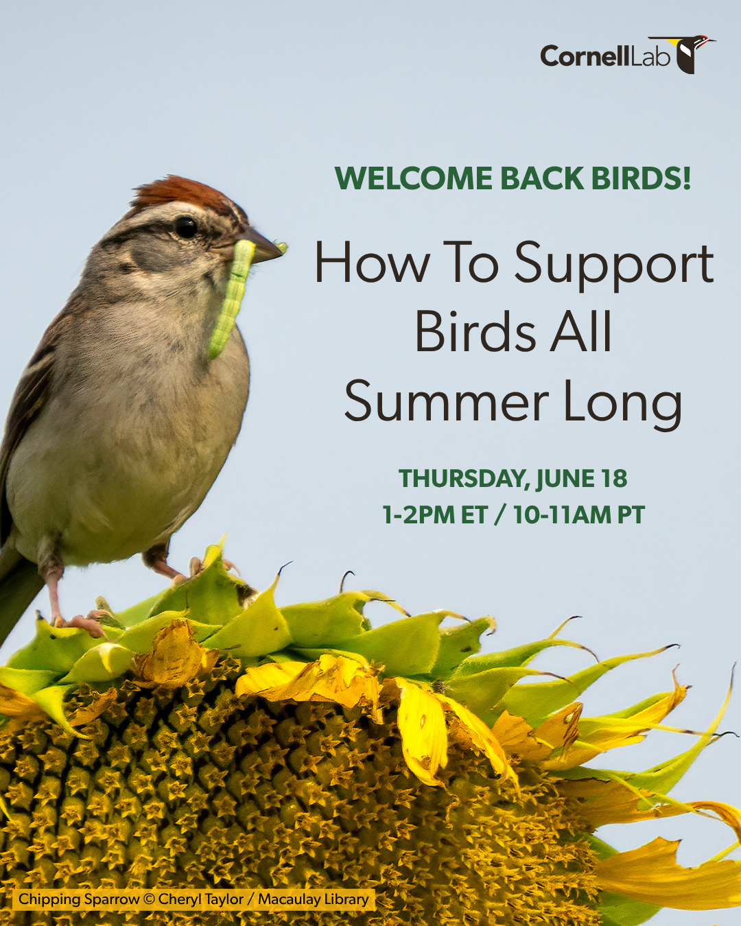 Cornell Lab of Ornithology Facebook ad: Join Us For A Live Event