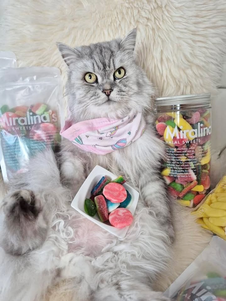 Miralina's Halal Sweets Facebook ad