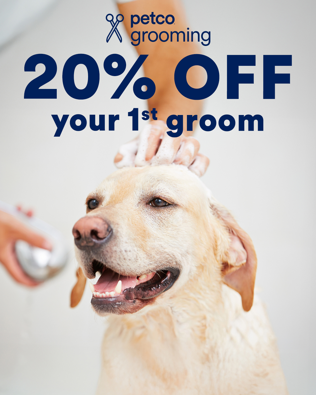 Petco Facebook ad