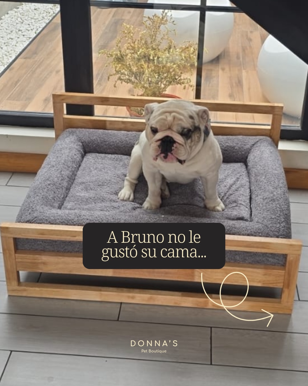Donna's Pet Boutique Facebook ad: Te mentimos.