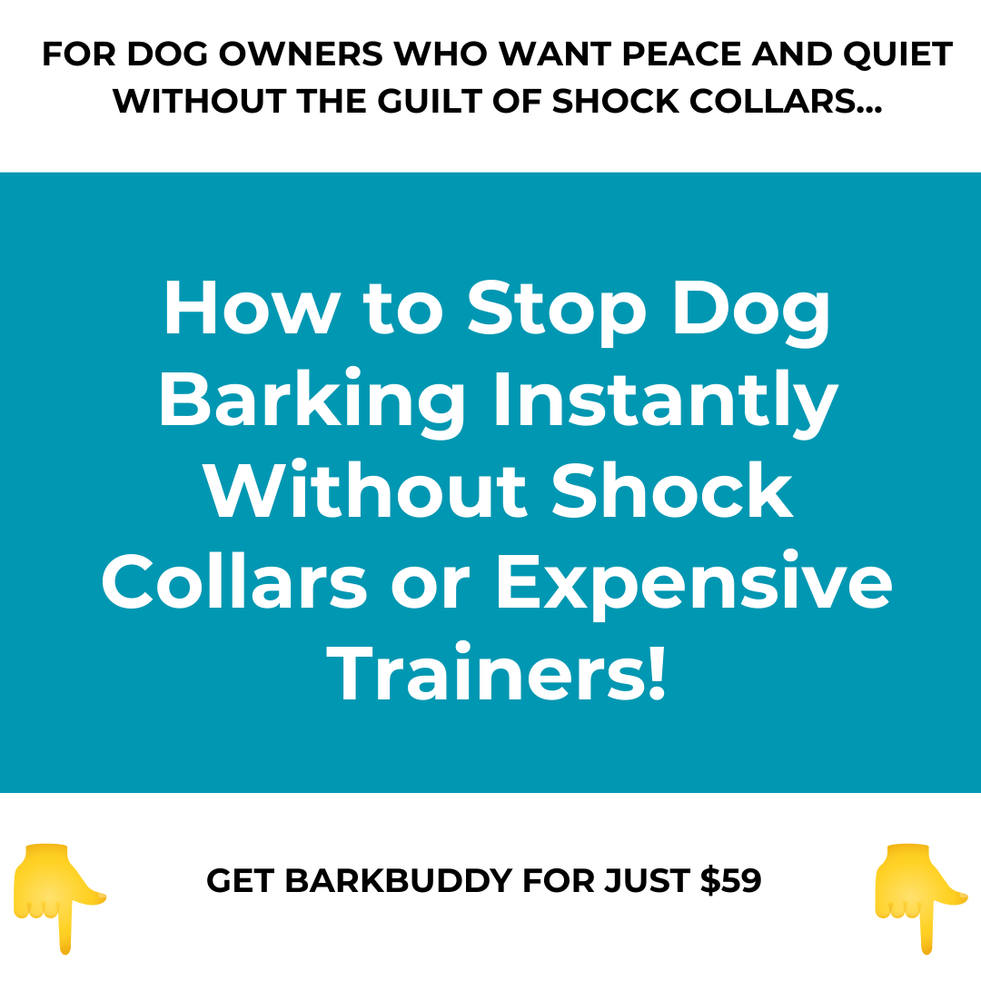 Canine Corner Australia Facebook ad