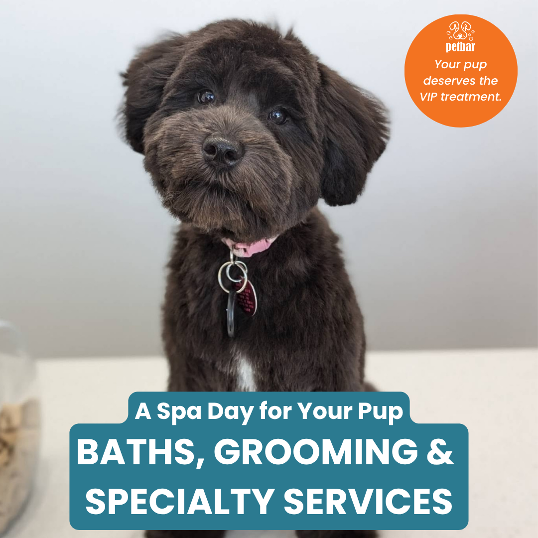 Petbarboutique_Lakewood Facebook ad: Your pup deserves to feel fresh, fluffy, and…