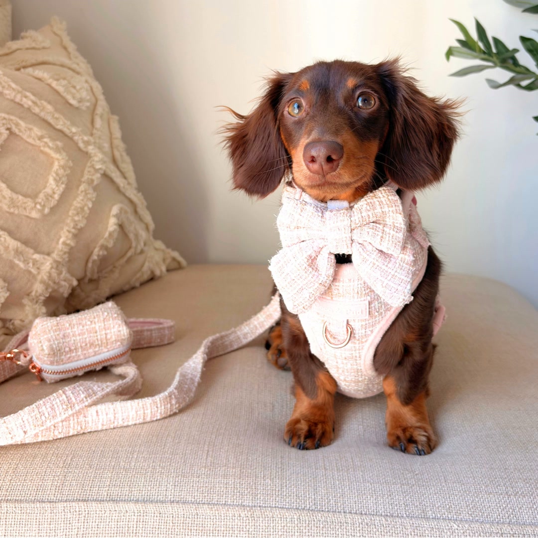 Coco and Pud Facebook ad: New! Limited Edition Collections