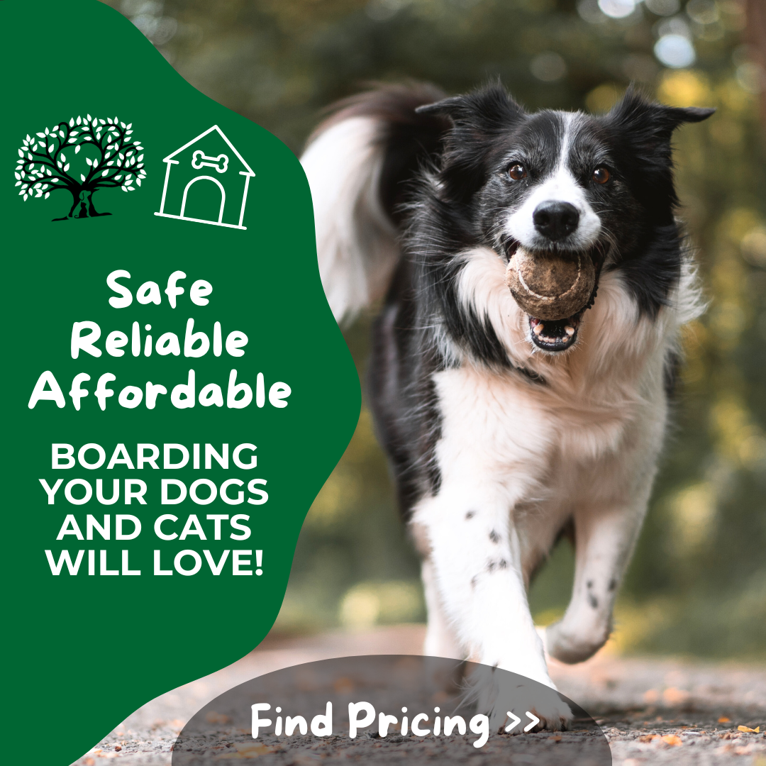Oak Heart Veterinary Hospital Facebook ad