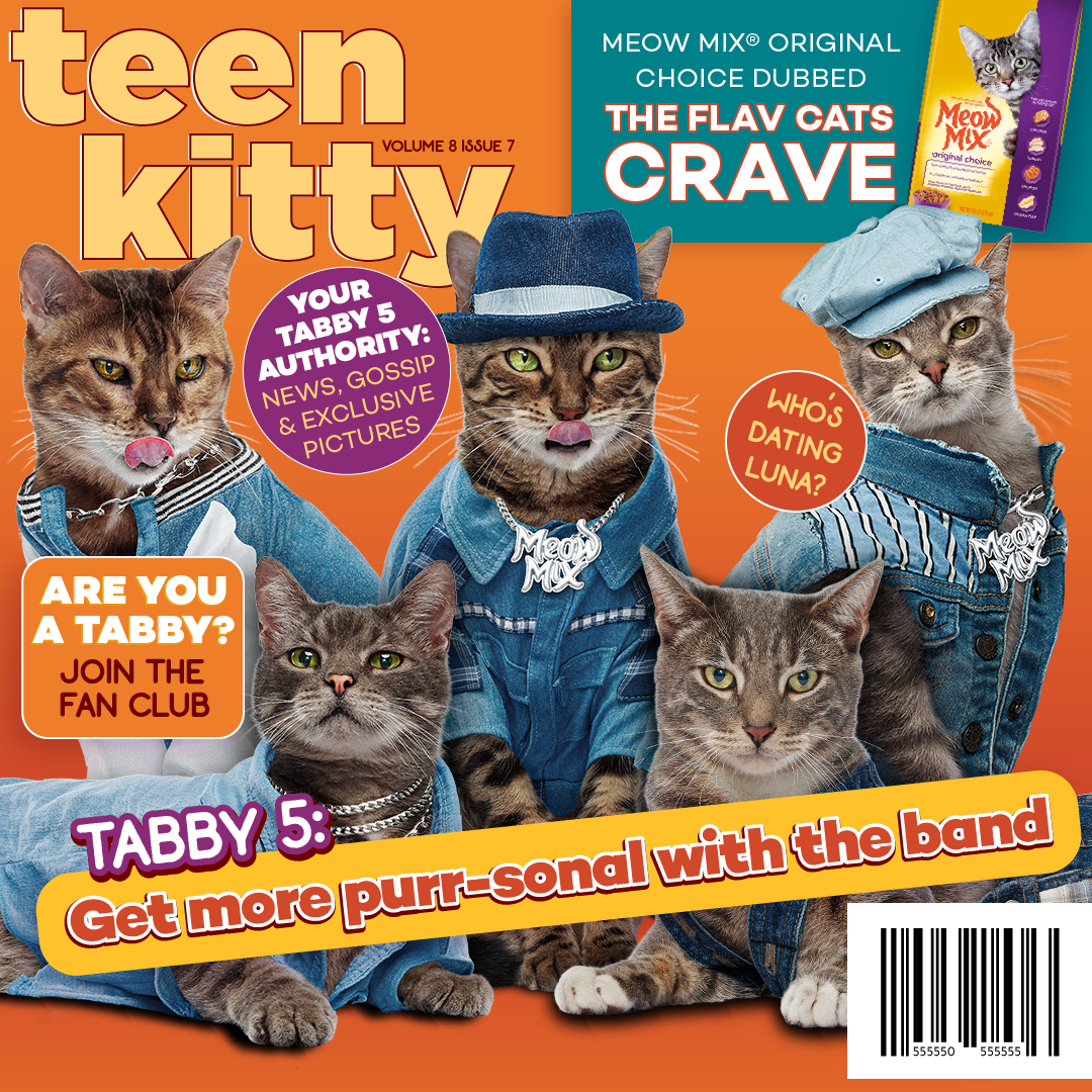 Meow Mix Facebook ad: The cats out of the bag.
