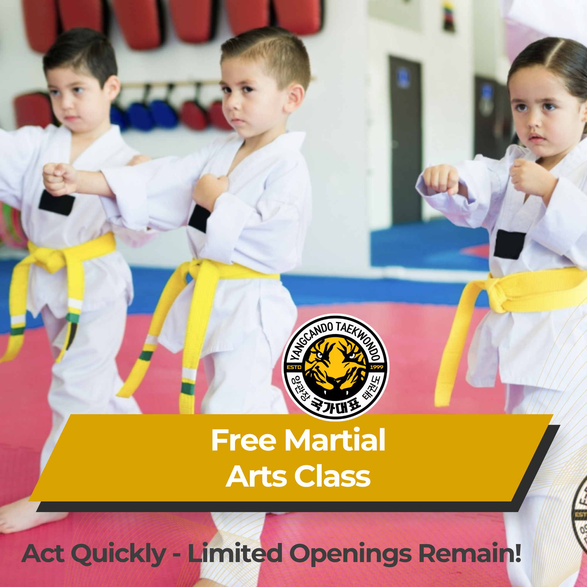 Online Taekwondo Team Facebook ad: FREE Kids Martial Arts Class