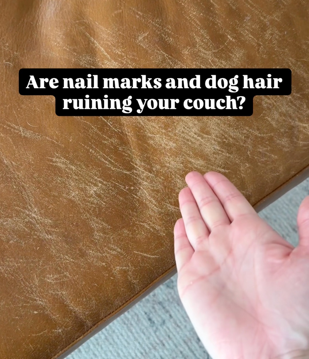 Wilderdog Facebook ad from May 13, 2026