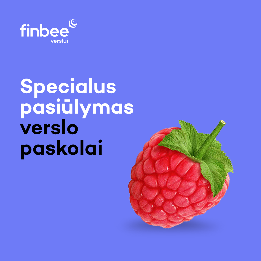 Finbee Verslui Facebook ad
