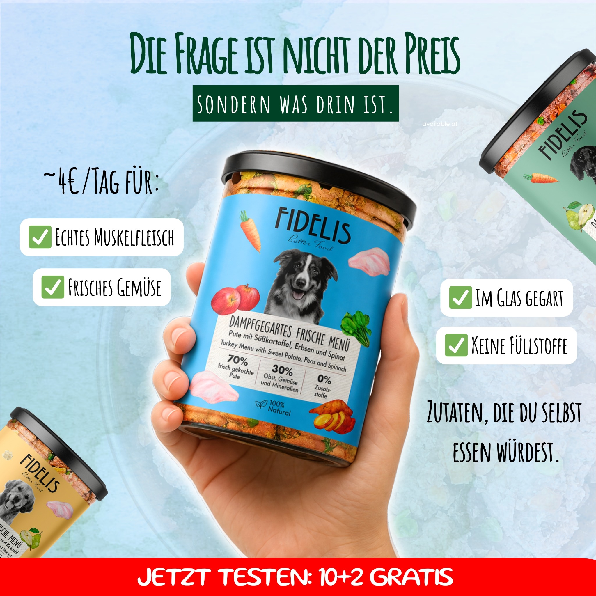 Fidelis.dog Facebook ad