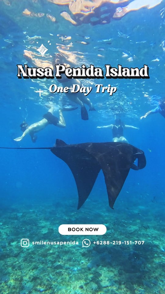 Smile Nusa Penida - Tour Services Facebook ad: NUSA PENIDA ONE DAY TOUR FOR DOMESTIC &…