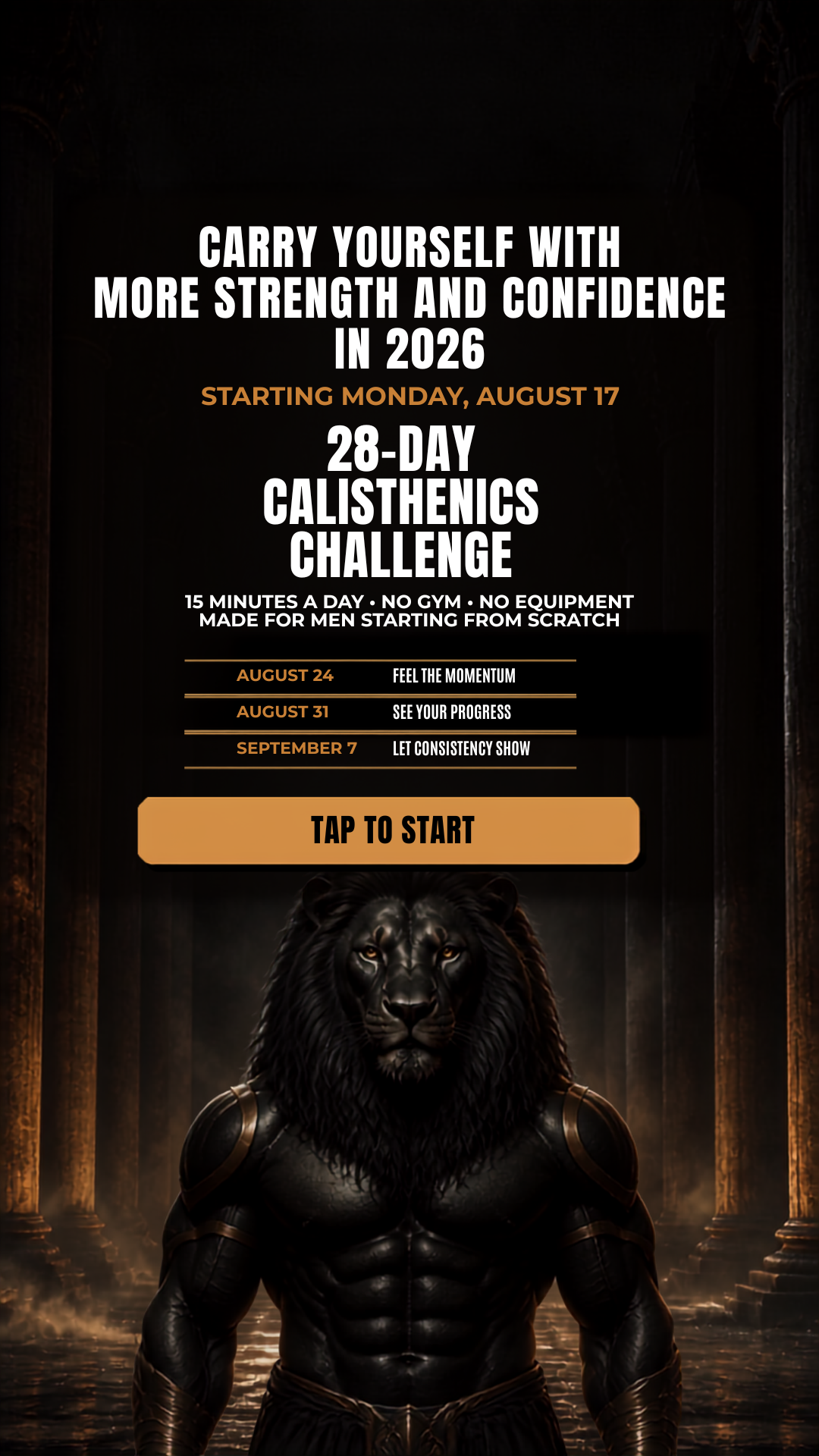 Vivid: Calisthenics Workouts Facebook ad from Aug 10, 2026