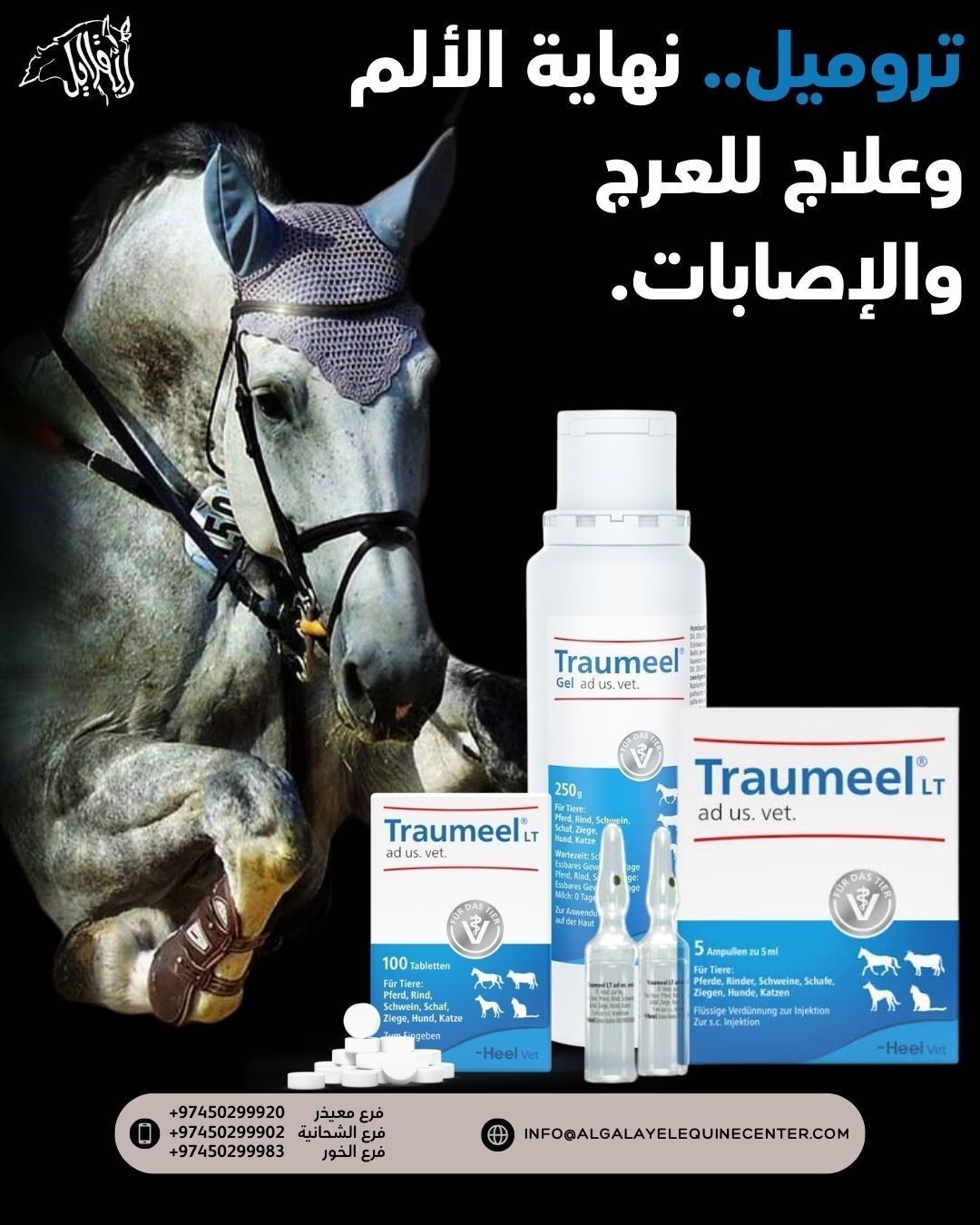 مركز القلايل للخيل Facebook ad