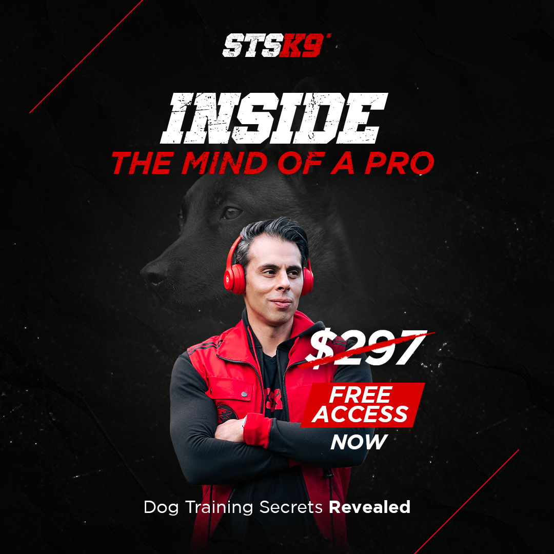 STS K9 - Nino Drowaert Facebook ad