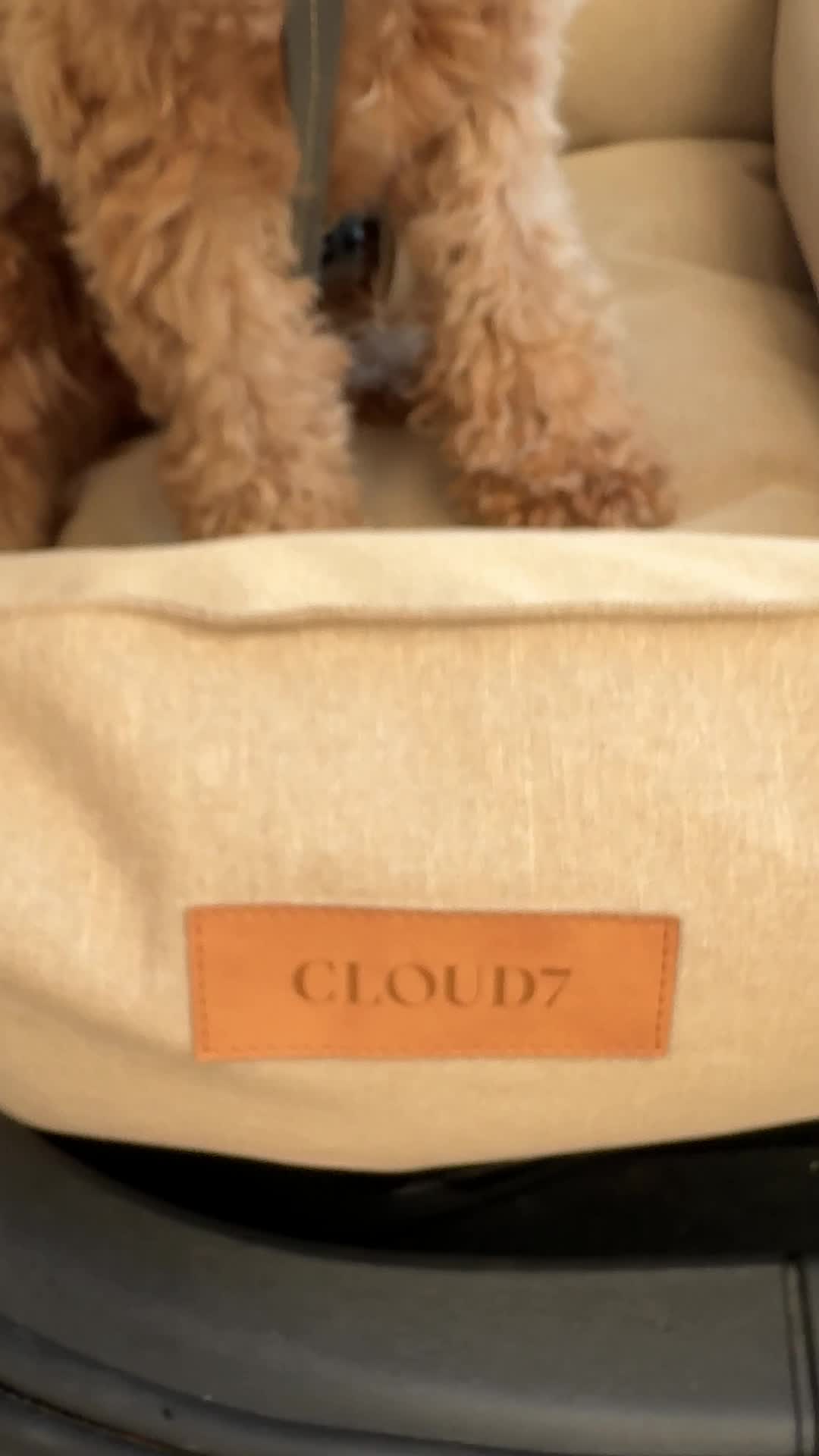 Cloud7 Facebook ad: Für alle, die mitfahren