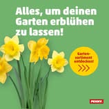 Penny Markt Österreich Facebook ad: Auch wenn uns das aktuelle Wetter gegenteiliges erzählt…