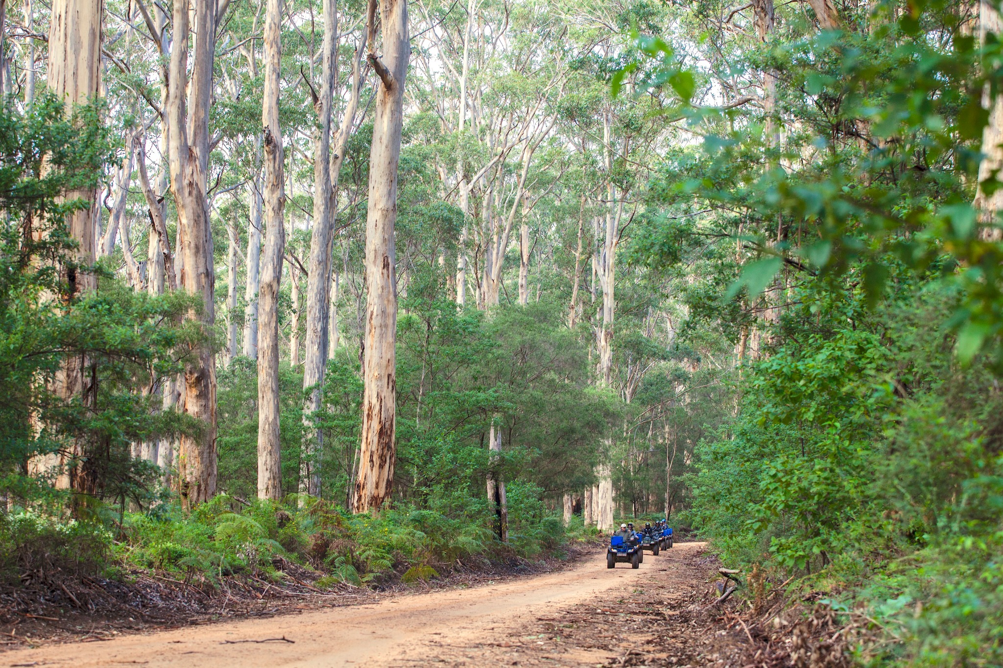 Ecoadventures Margaret River Facebook ad
