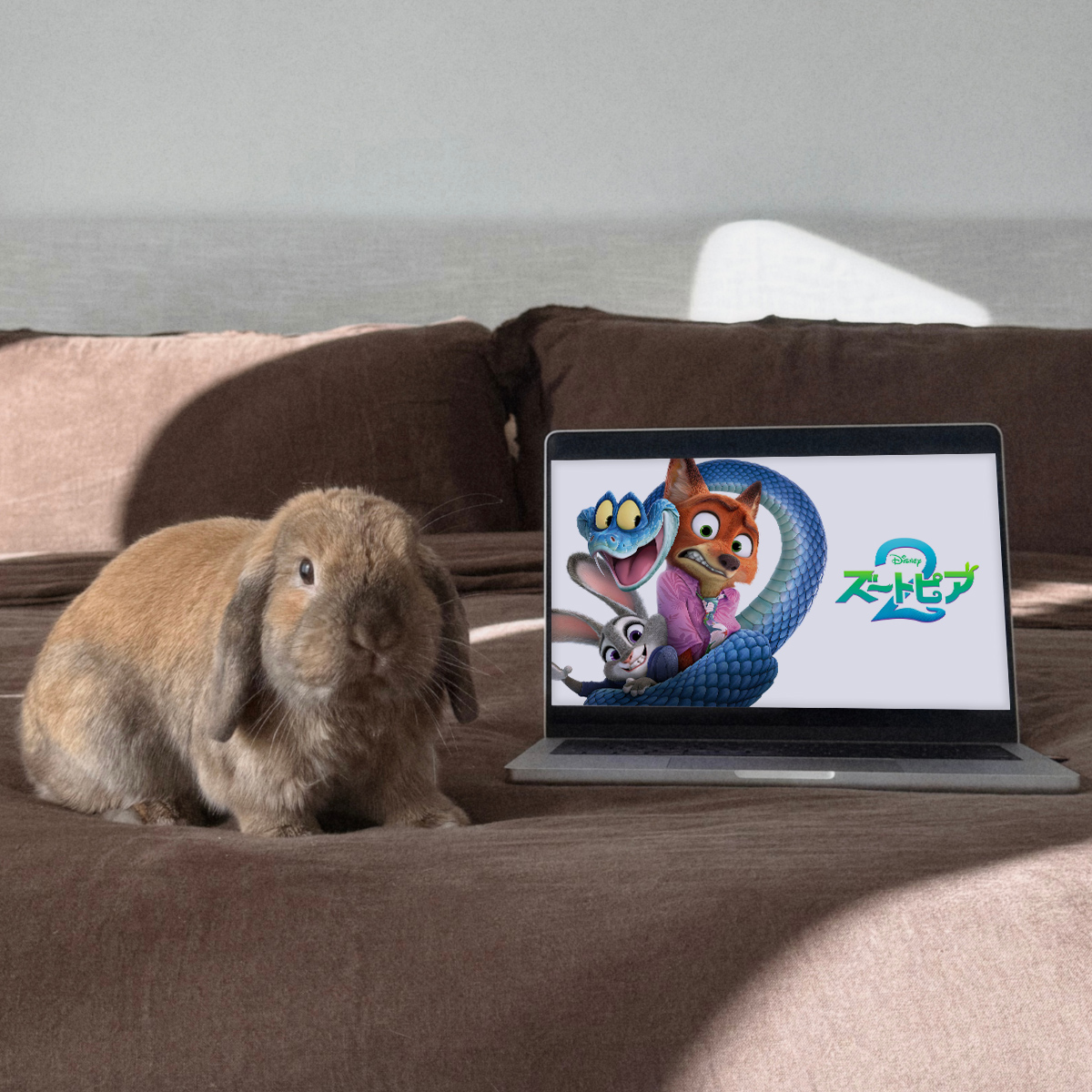 Disney+ Japan Facebook ad from Apr 15, 2026