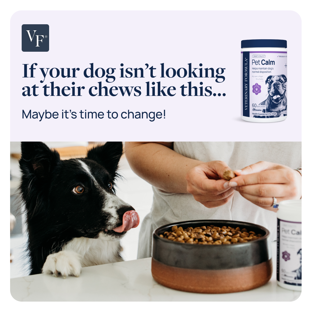 Veterinary Formula Facebook ad: Love at first bite
