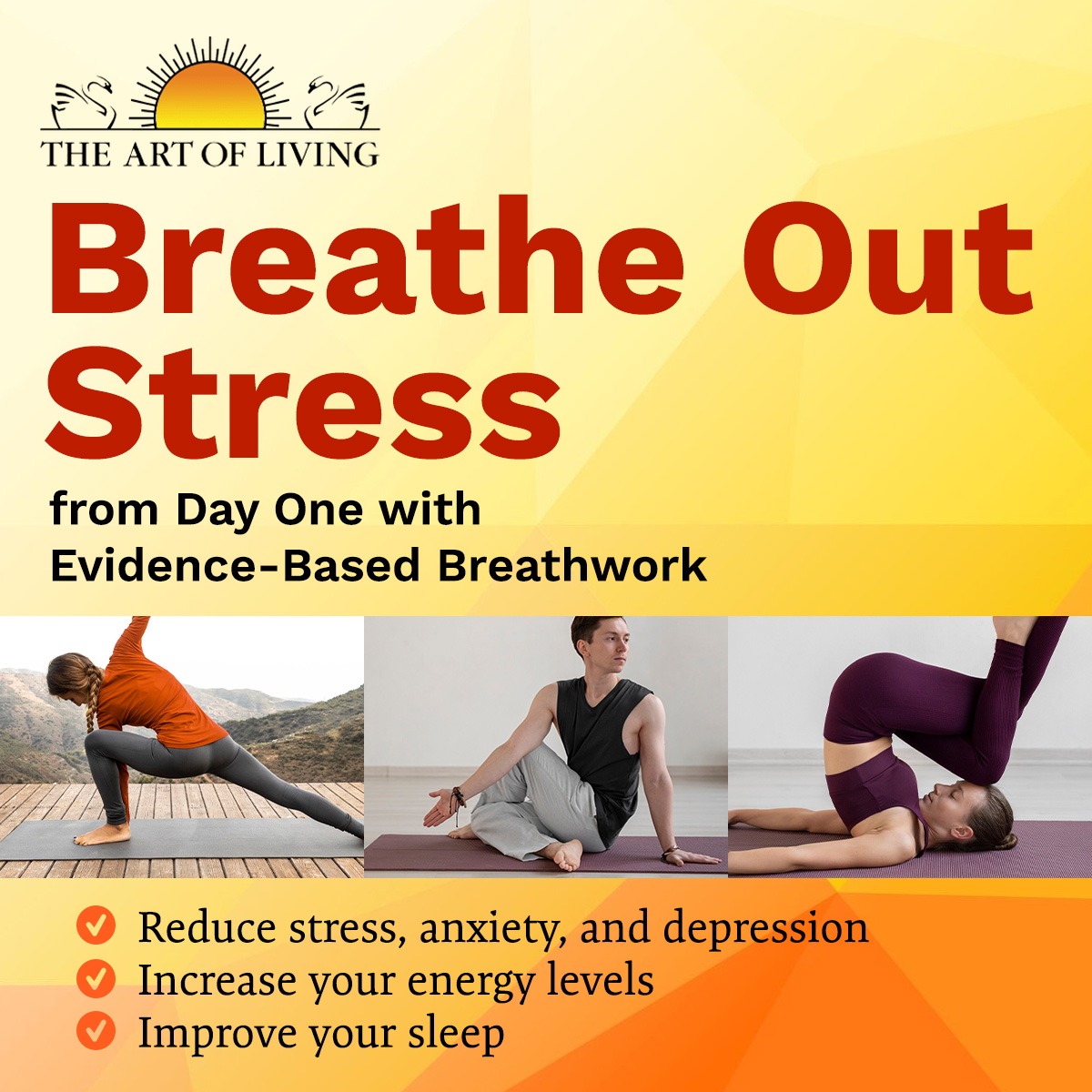 The Art of Living Facebook ad