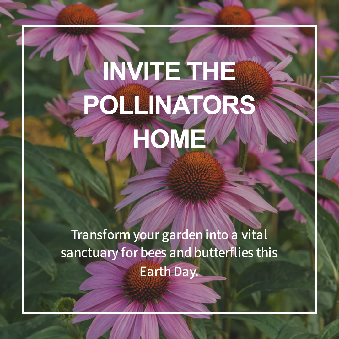 Nature Hills Nursery Facebook ad