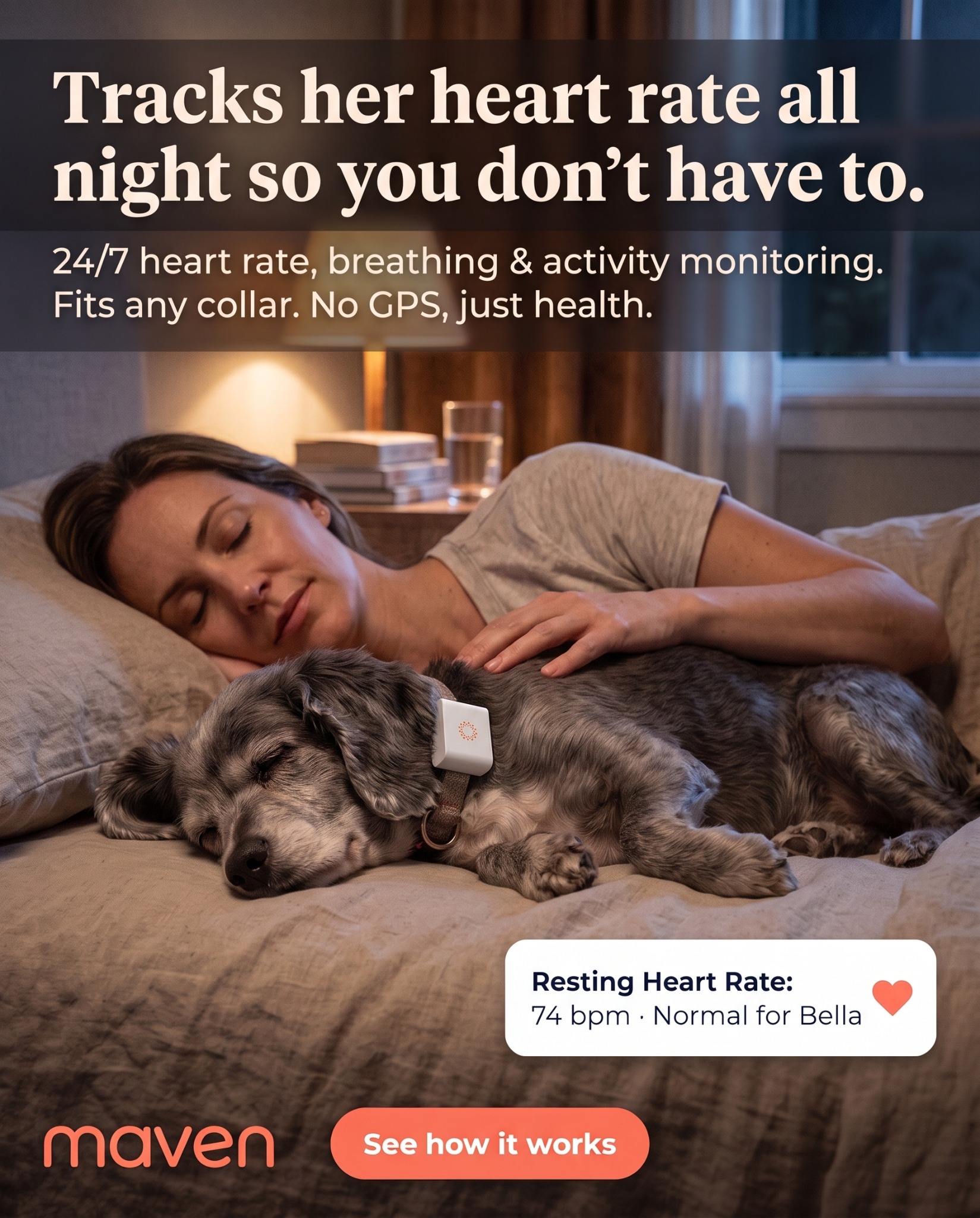 Maven Pet Facebook ad