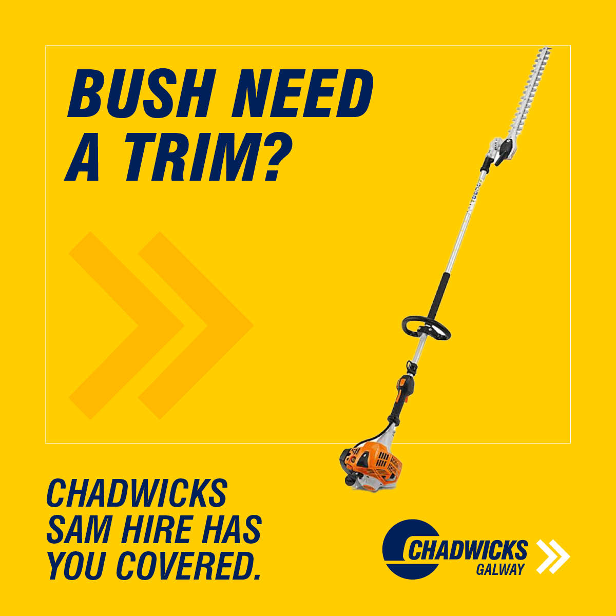 Chadwicks Facebook ad