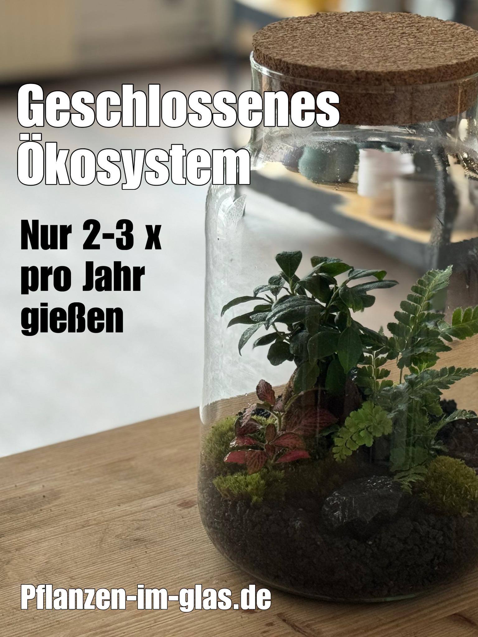 pflanzenimglas Facebook ad