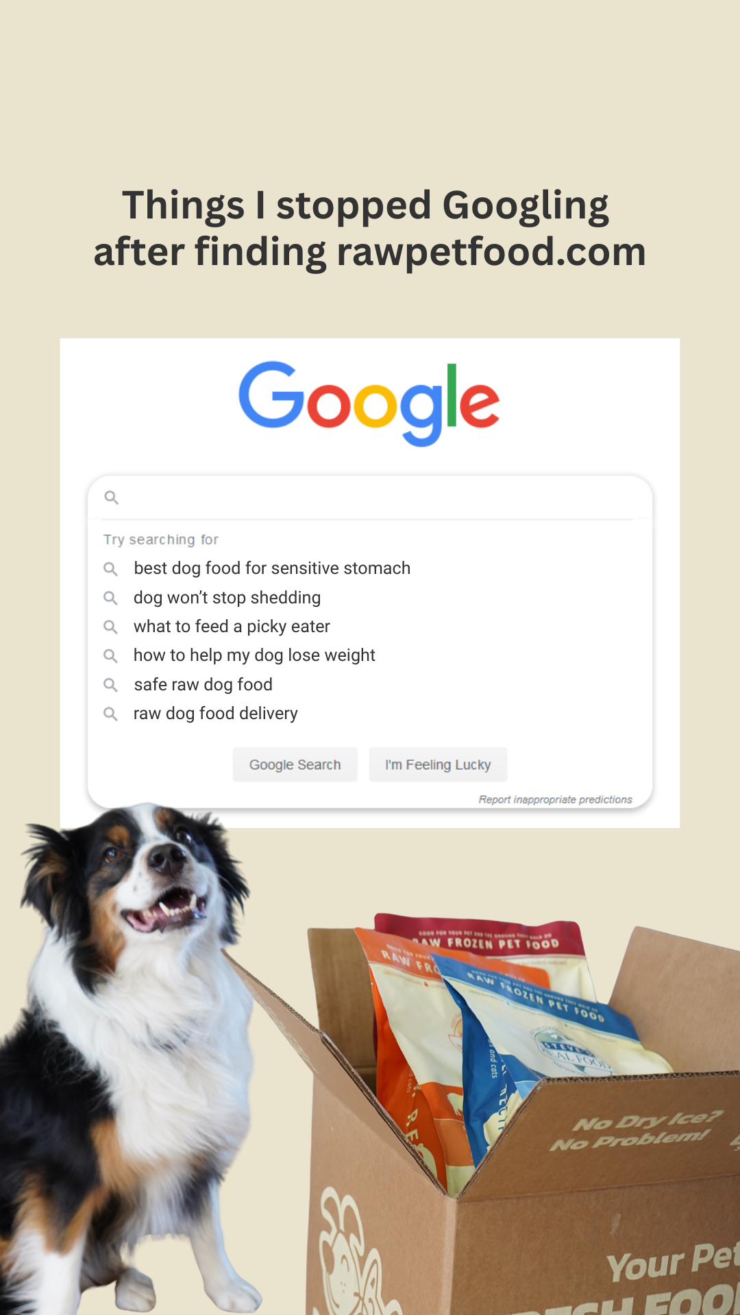 Raw Pet Food Facebook ad