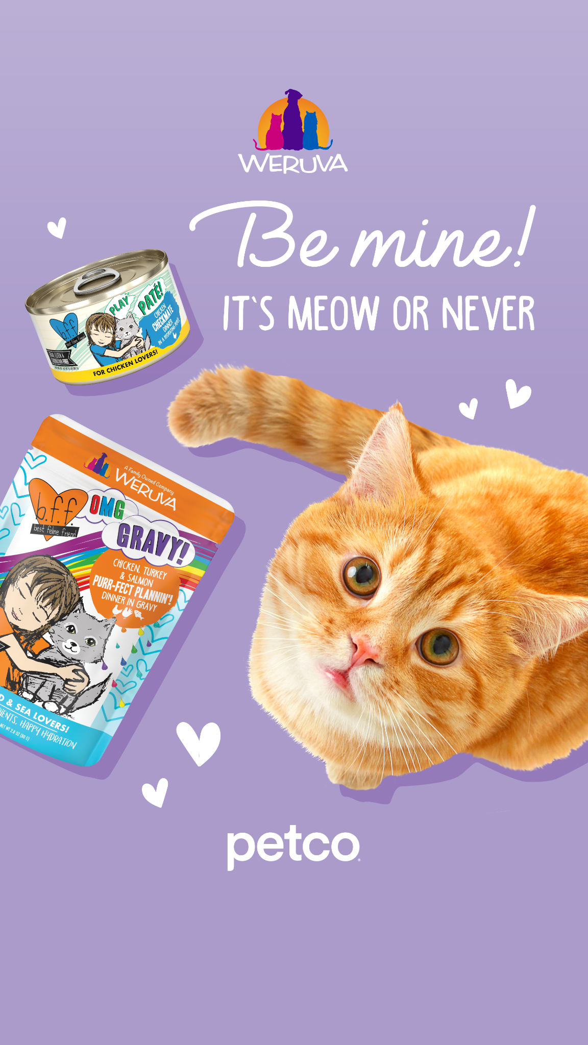 Petco Facebook ad