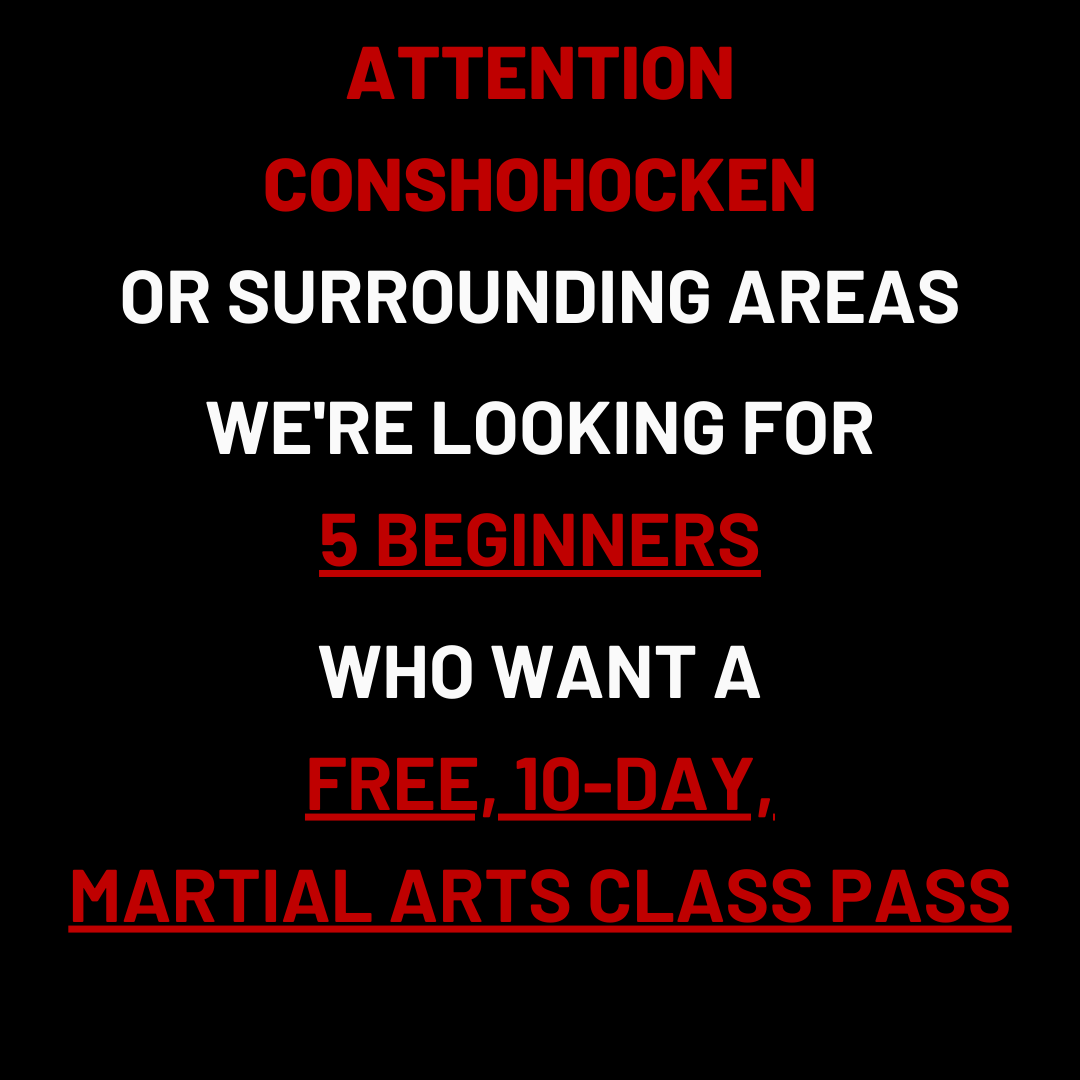 Lightning Hands Wing Chun Facebook ad: Want a FREE 10-Day, Martial Arts Class Pass?