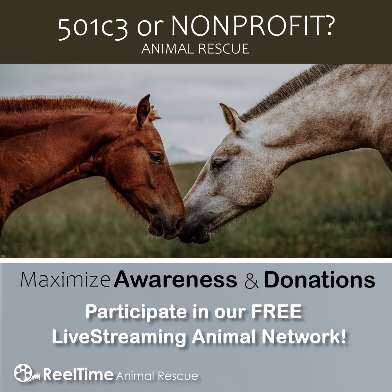 ReelTime Animal Rescue, LLC Facebook ad