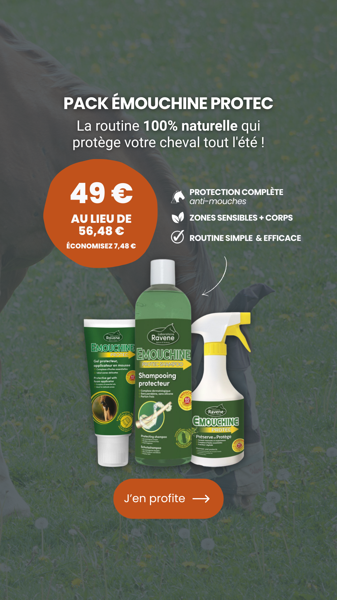 Sellerie L'Atelier du Cheval Facebook ad from Sep 3, 2026