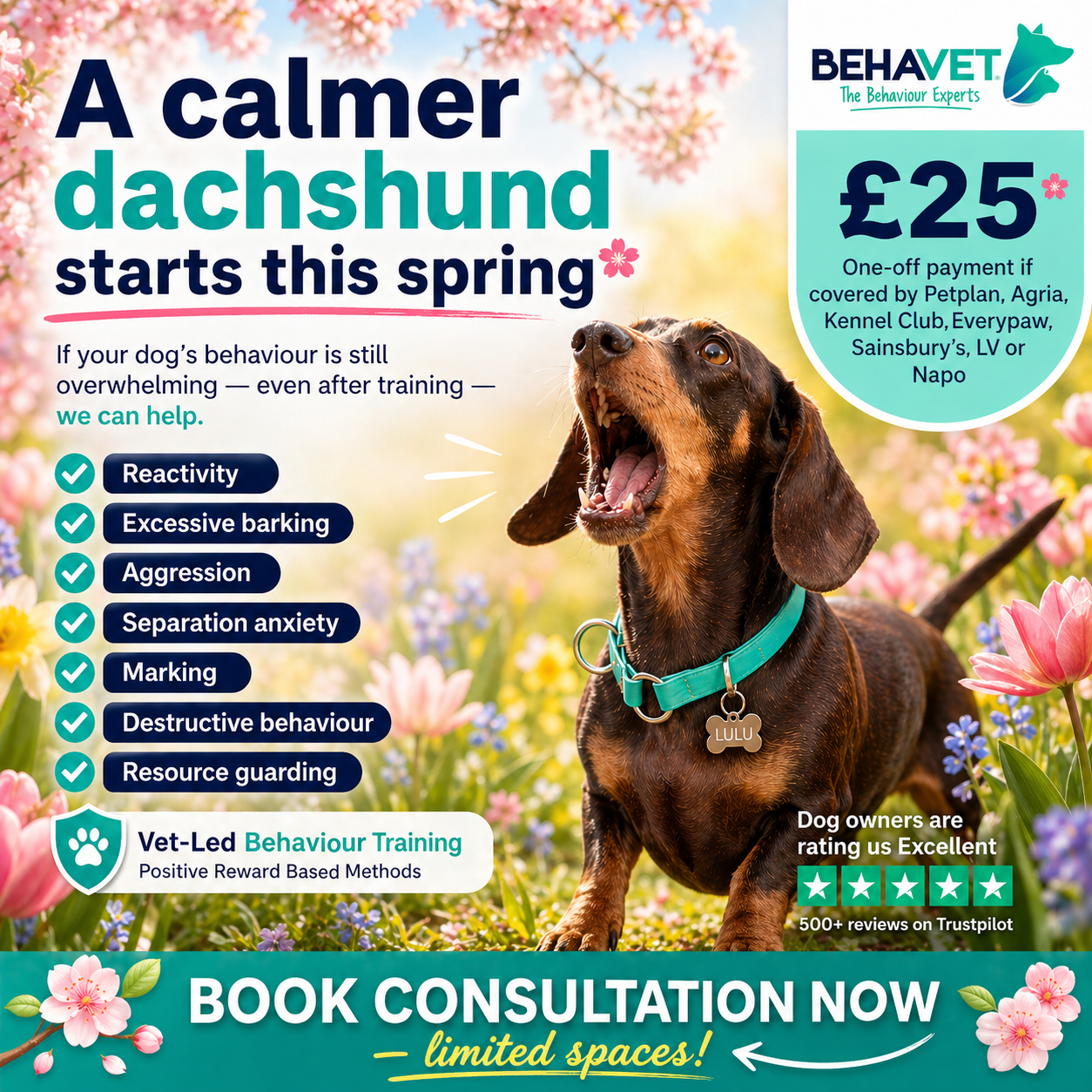 Behavet: The Pet Behaviour Experts Facebook ad