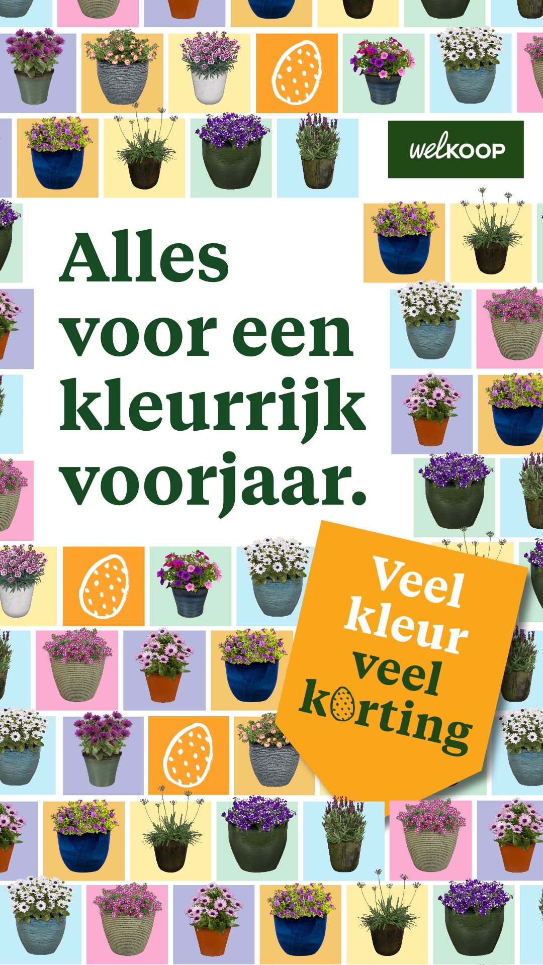 Welkoop Facebook ad