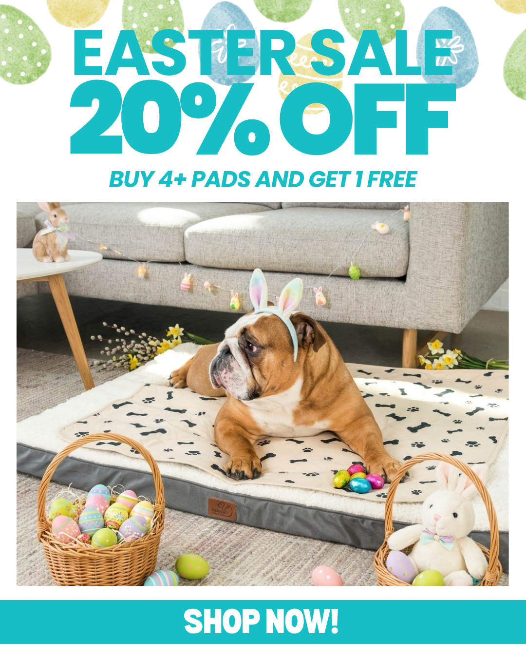 Potty Buddy Facebook ad