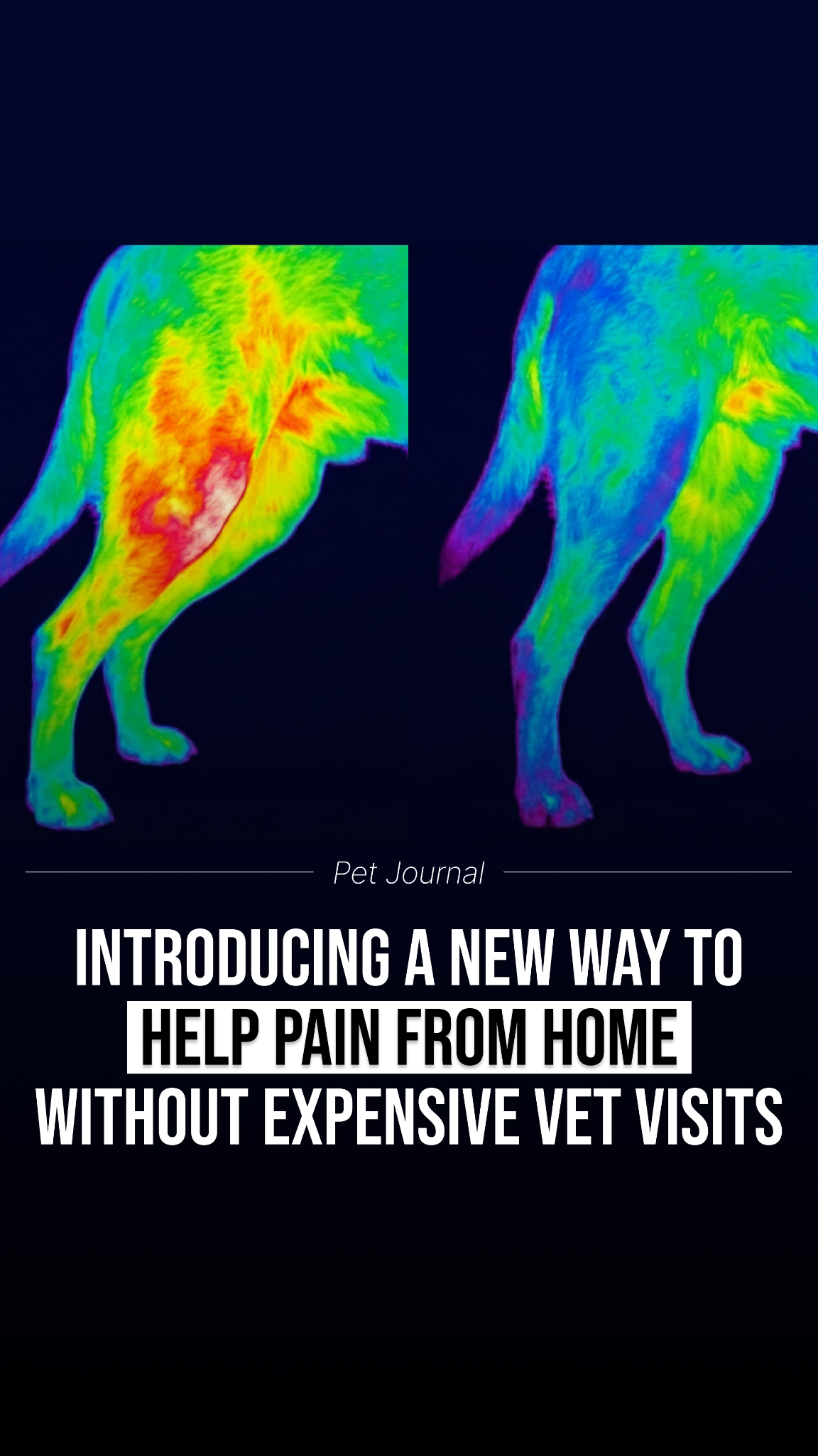 Animal Science Today Facebook ad