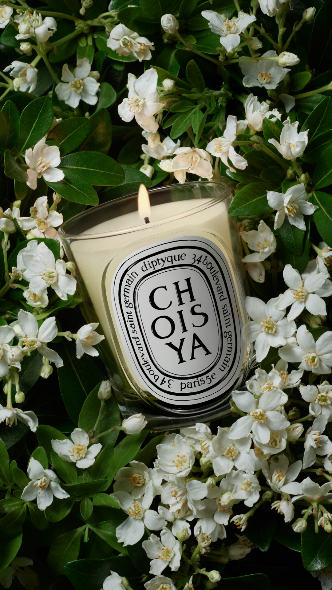diptyque Facebook ad