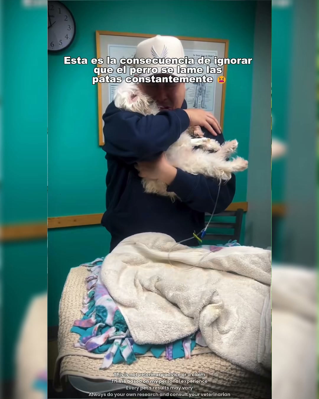 Puainta Pets Facebook ad: Soothe Your Dog's Paws with Ease
