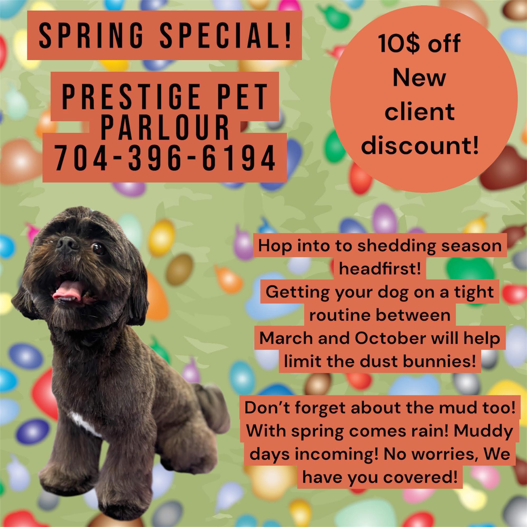 Prestige Pet Parlour Facebook ad: Hop into spring with a bath or deshed…